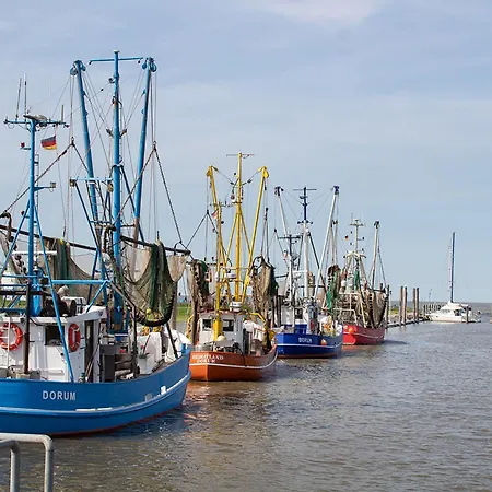 Wittsand 11 * Dorumer Neufeld