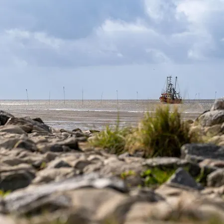 Holiday home Wittsand 11 *