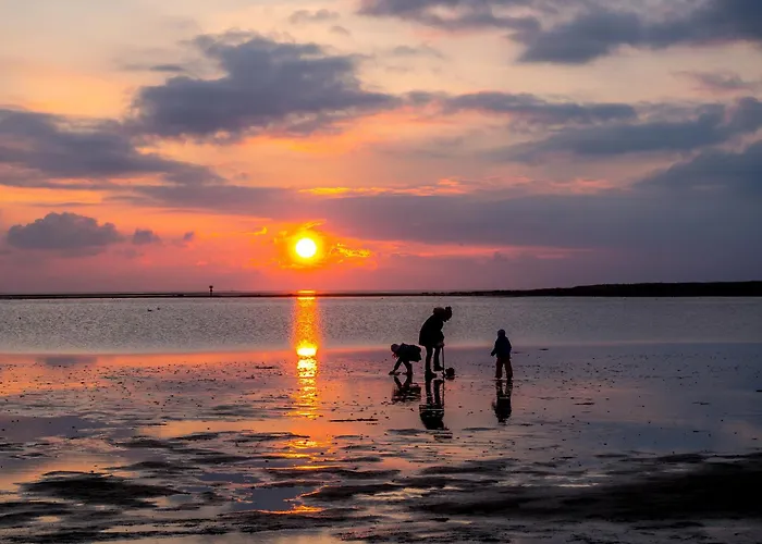 Wittsand 11 دورم نيوفيلد