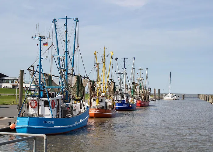 Wittsand 11 * دورم نيوفيلد