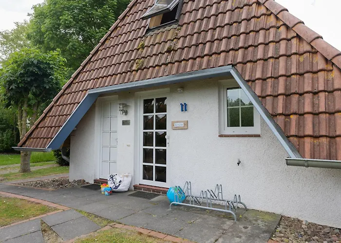 Wittsand 11 دورم نيوفيلد